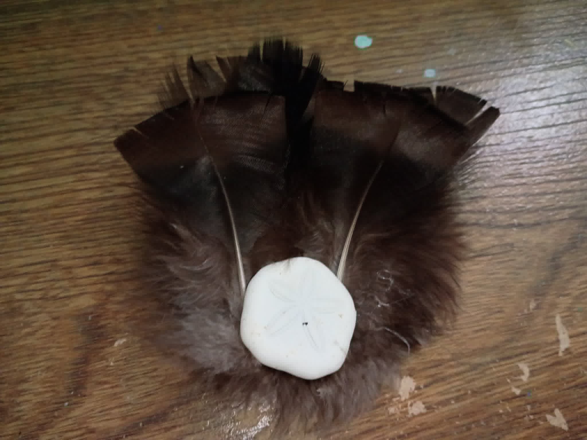 Feather Hair bows