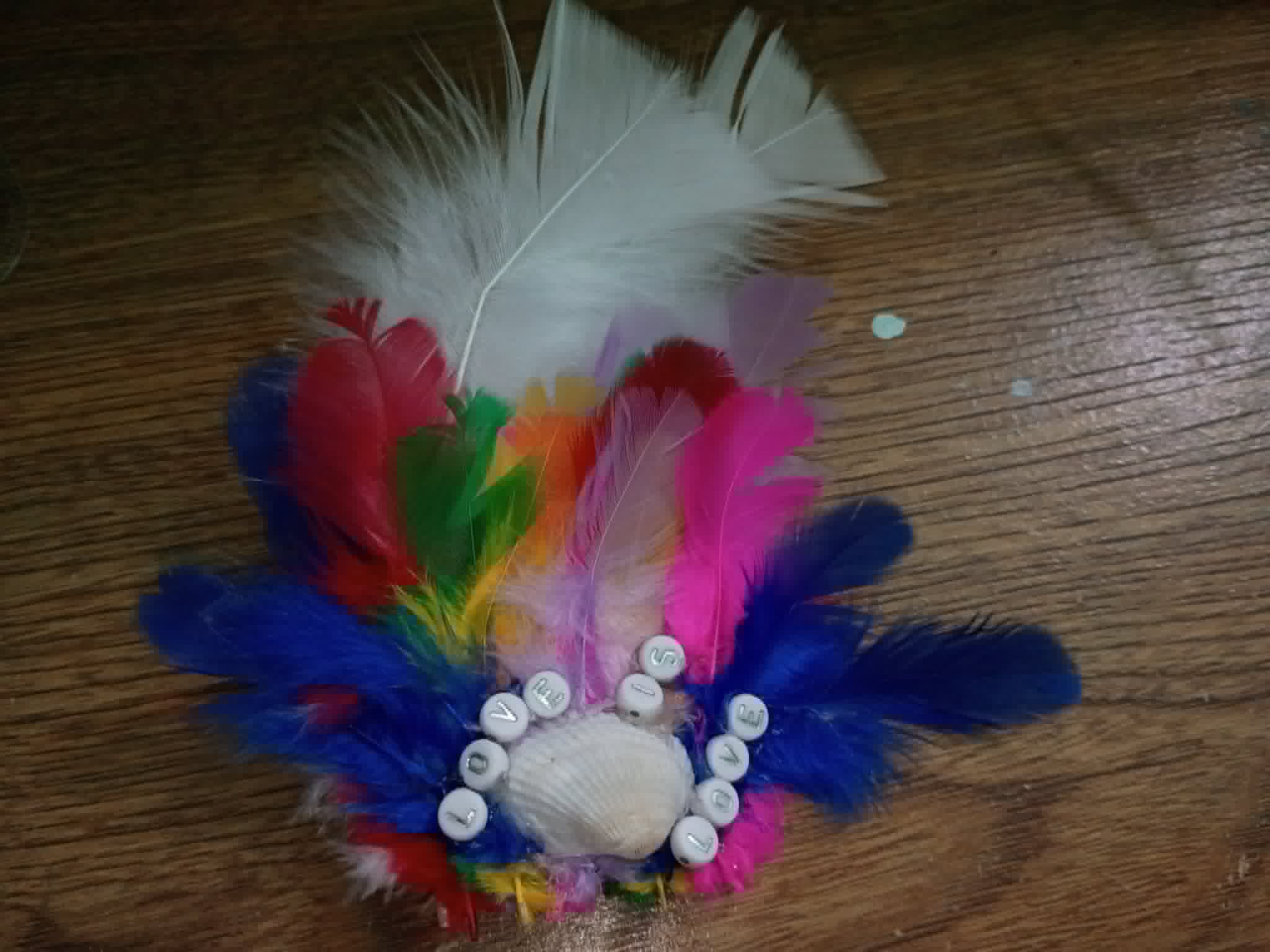 Feather Hair bows